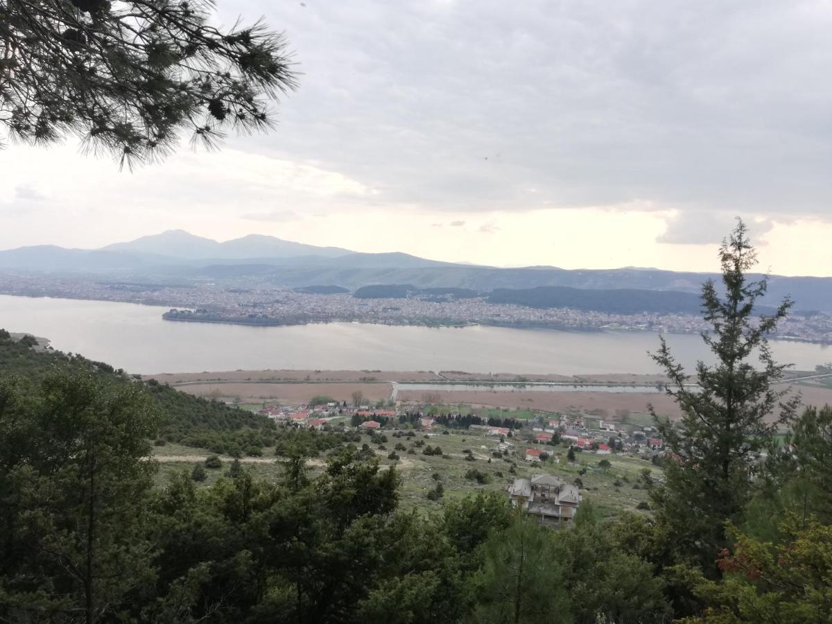 House With View In Amfithea Apartment Янина Екстериор снимка